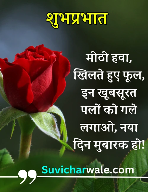 suprabhat quotes in hindi