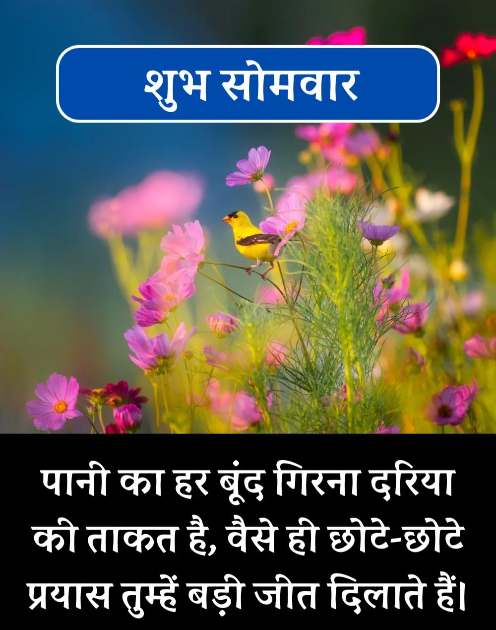 Best Good Morning Monday Quotes in Hindi - सोमवार सुप्रभात (17)