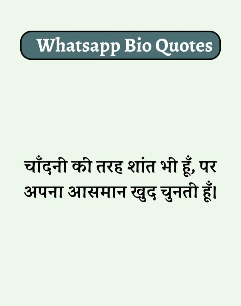 Best WhatsApp Bio in Hindi - वाट्सऐप बायो हिन्दी में। (8)